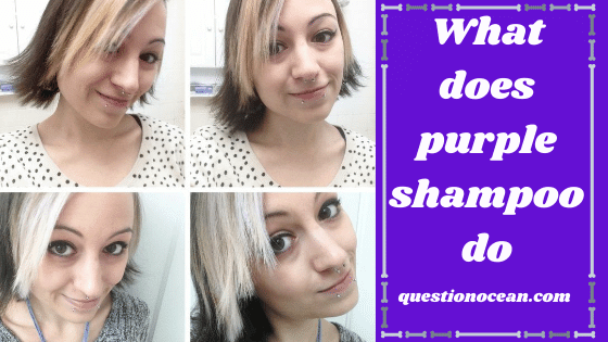 What does purple shampoo do