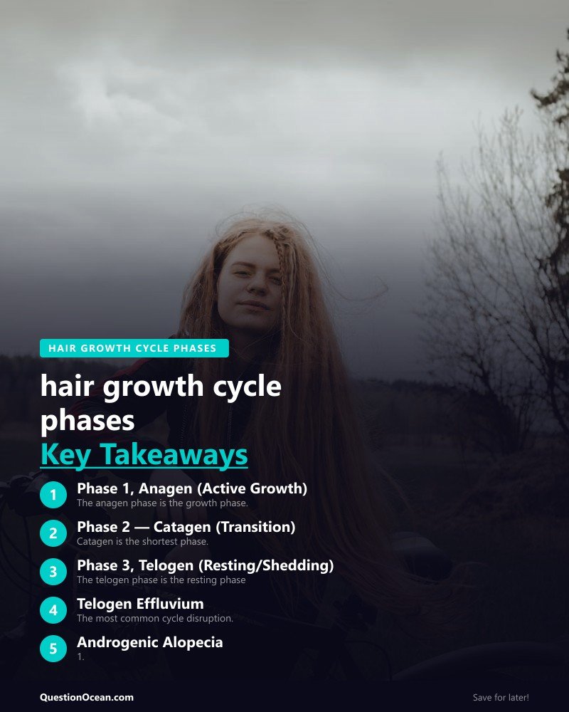 Key takeaways about hair growth cycle phases