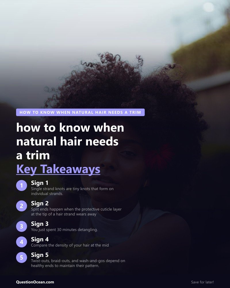 Key takeaways about how to know when natural hair needs a trim