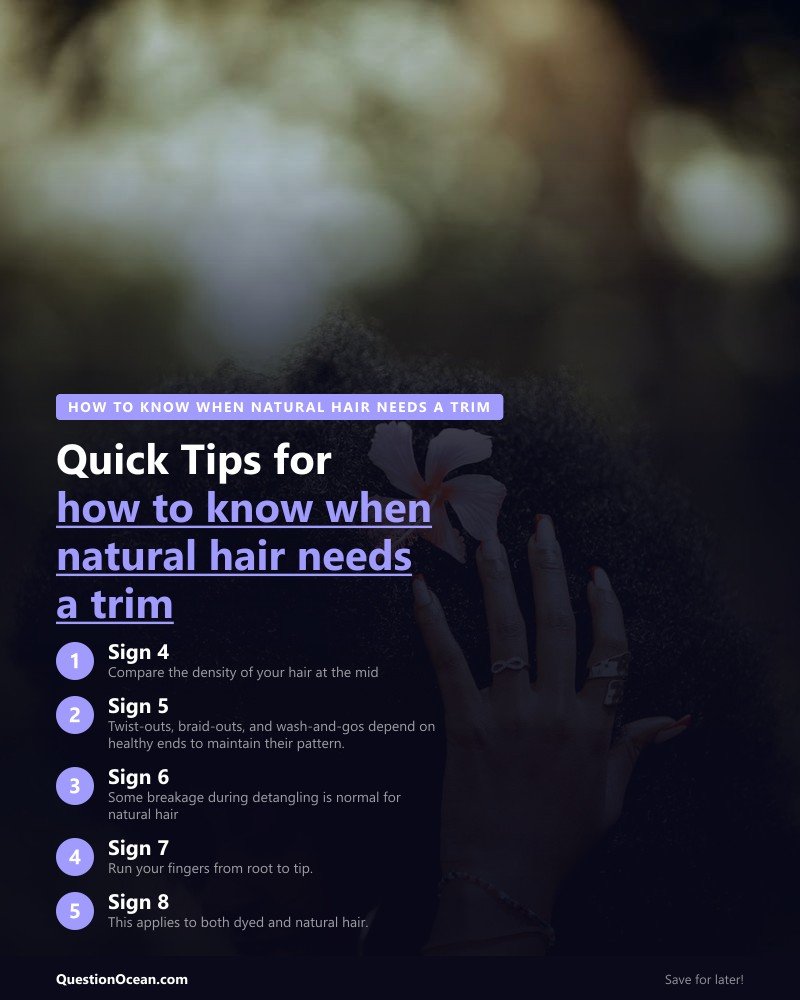 Key takeaways about how to know when natural hair needs a trim