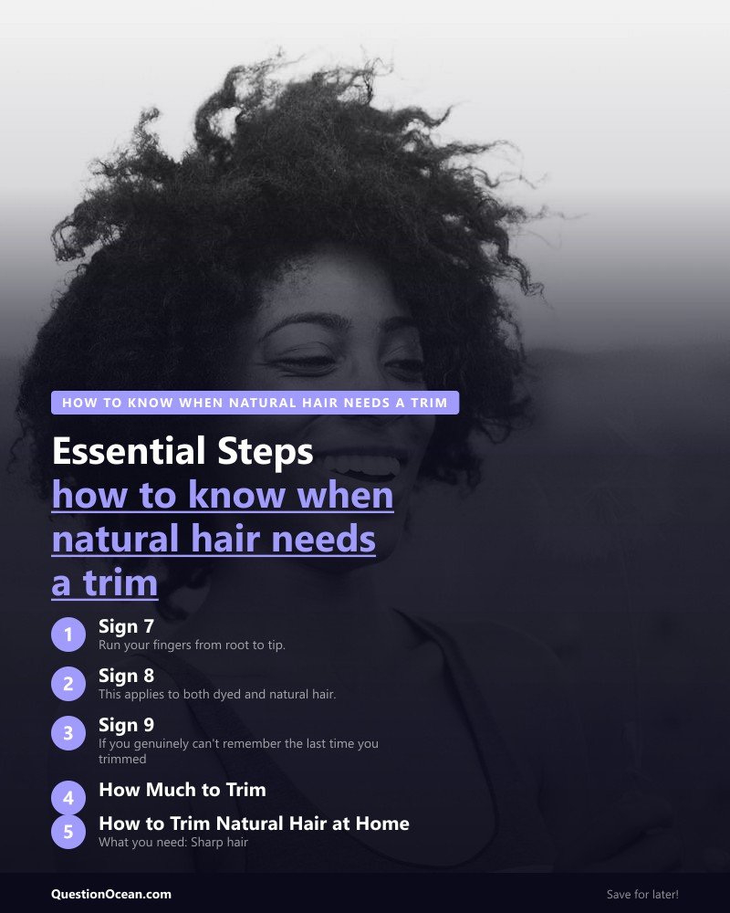 Key takeaways about how to know when natural hair needs a trim